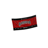 Team Banners - 2