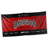 Team Banners - 4